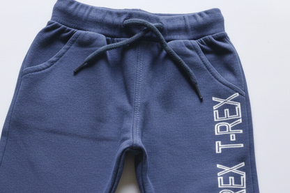 T-Rex Winter Cotton Baby Co-Ord Set for Toddlers – photo 4