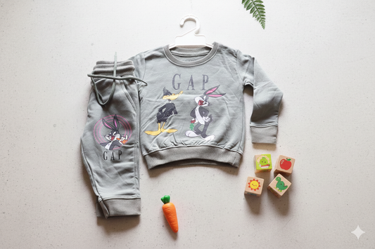 Looney Tunes Character Coord Set